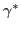 $\gamma ^{*}$
